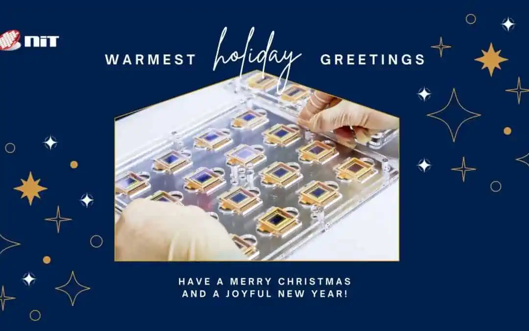 Happy Holidays from New Imaging Technologies